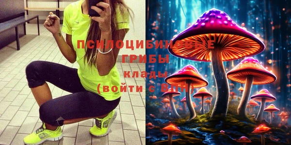 PSILOCYBIN Бугульма