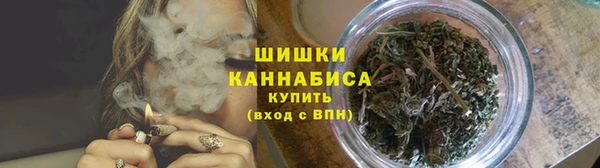 бошки Бронницы